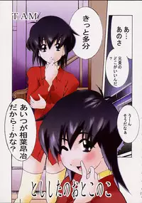 (C63) [PH (TAM)] AOI Shijou Shugi 4 (Mugen No Ryvius)