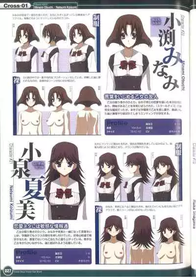 Cross Days Visual Fan Book