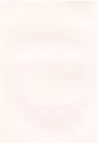 [Shou Akira] Oneichan W