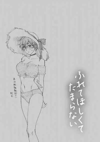 [消火器] ふれてほしくて たまらない 未来數位、eve個人拼接版 無修正 DL版