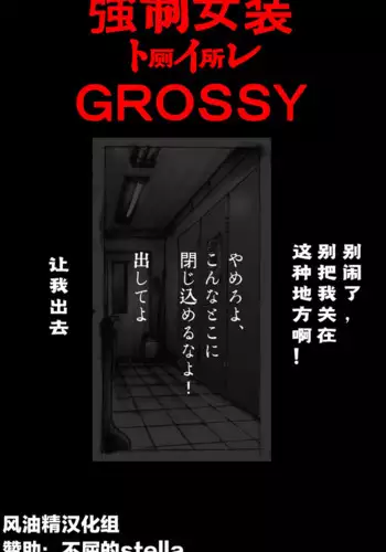 Kyousei Josou Toilet grossy
