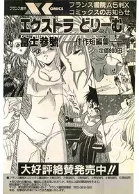 COMIC Papipo Gaiden 1995-11 Vol.17