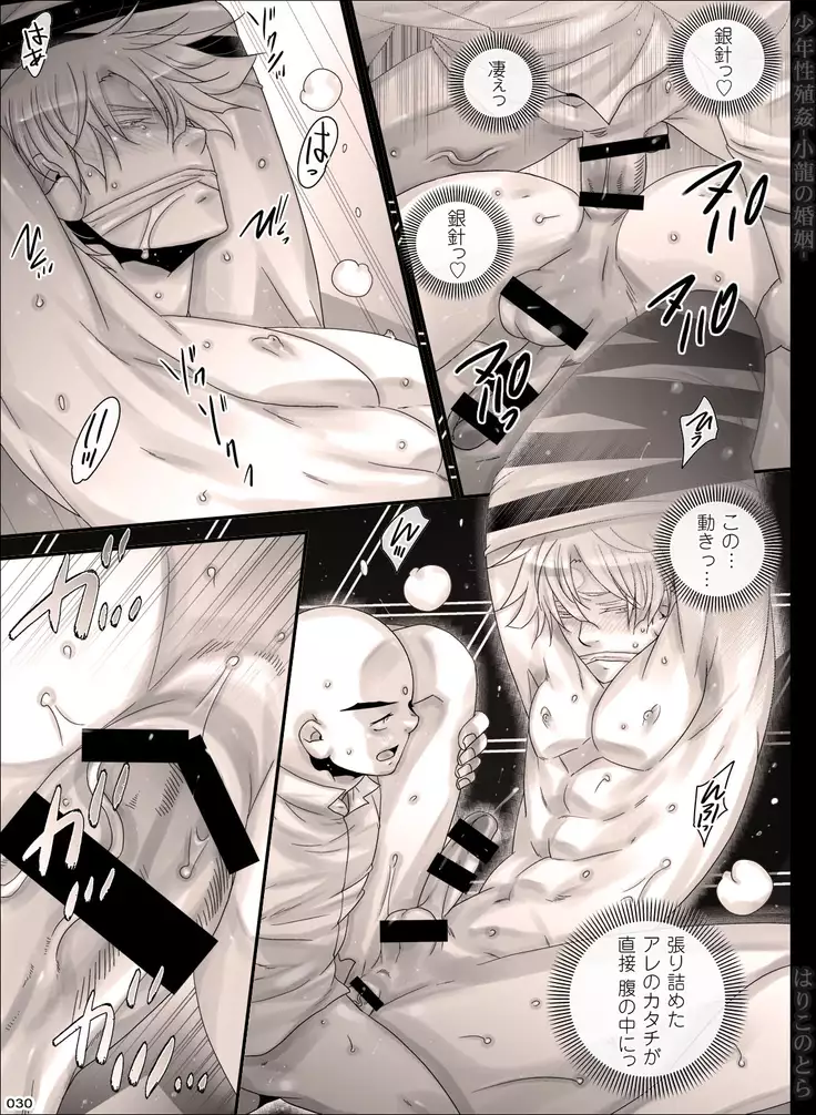 Shounen Seishokukan - Shouryuu no Konin