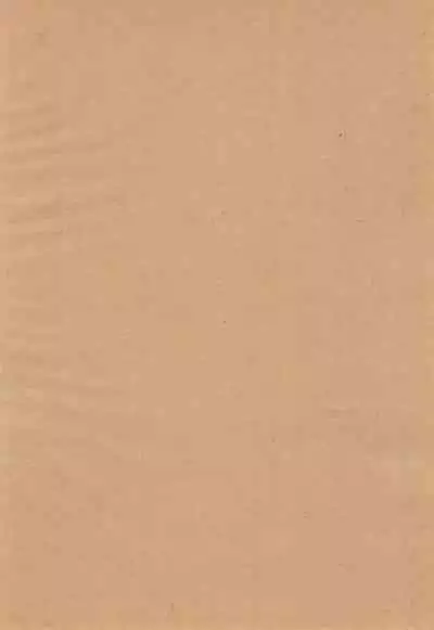 Obsesion y Monopolio