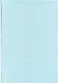 Daisenkou ~ Shin Dokuhime no Mitsu