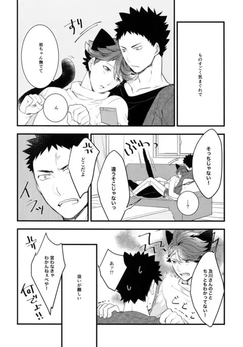 Iwachan no Neko ni Naritai Sairoku-Shuu