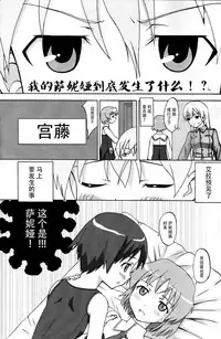 (C75) [Seza Team (sezan)] EILA ISM (Strike Witches) [Chinese] [脸肿汉化组]