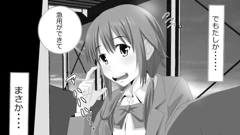 Makoto ni Zannen nagara Anata no Kanojo wa Netoraremashita. Zengohen Set