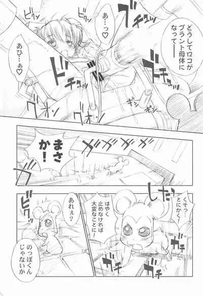 BATTLE FOR THE PLANET OF THE HAMS