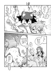 (COMIC1☆11) [Utahime (Izumi Masashi)] Kasumi no Wanwan Friends (Pokémon)