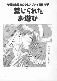 [Feena] Kinjirareta Oasobi