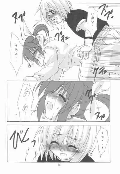 Mahou Shoujo wa Sainan nano