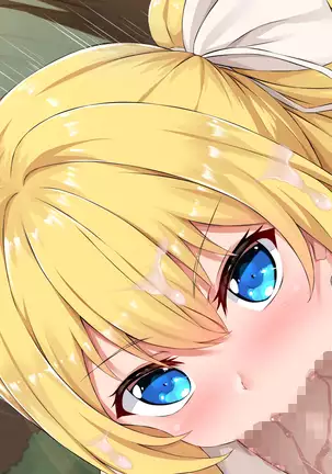 Mori no Yousei Shikorii