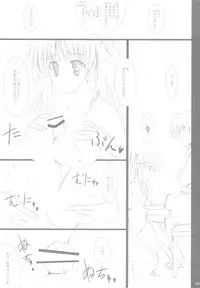 (C76) [THE FLYERS (Naruse Mamoru)] 20090815 (Saki)