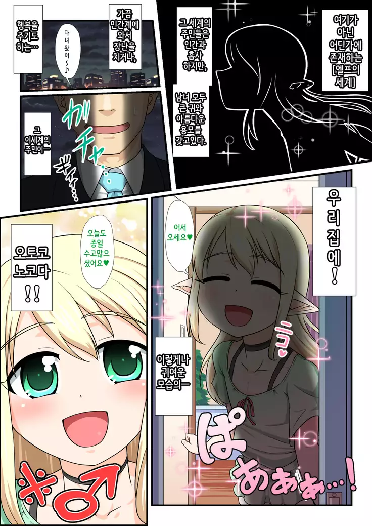 Moshimo Otokonoko Elf ga Wagaya ni Kitara