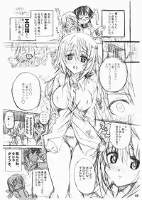(COMIC1☆5) [Neko-bus Tei, Studio TRC, Black Shadow] OH!MY PIGS (Infinite Stratos)