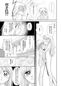 [Ditama Bow] Super Love Potion