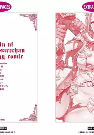 Goblin ni eroi koto sarechau Anthology vol.1