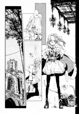 ORGAN-Tino 01 Chinese