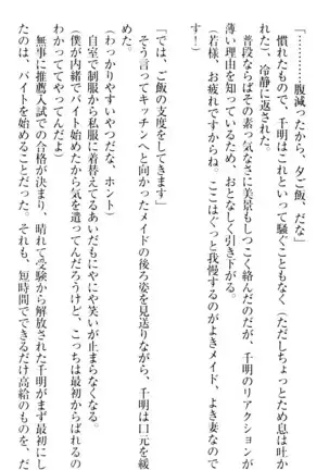 年上メイドの新婚日記