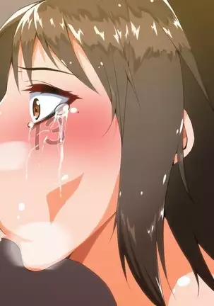 Hero Destruction Plan ~Brainwash Bad End NTR Edition~