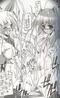 (SC16) [HarthNir (Misakura Nankotsu)] Monominooka (Wild Arms 3)