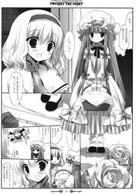 (Reitaisai 10) [D.N.A.Lab. (Miyasu Risa)] SEREVENT (Touhou Project)