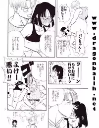 (C54) [Chirigami Goya, Fusuma go Ten (Shoji Hariko)] Tirinuruwo (DRAGON BALL)