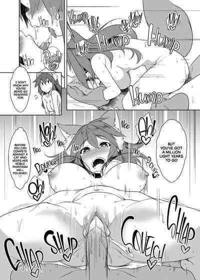 Hatsujou Cat Fight | A Heated Cat Fight