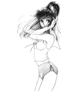 [Naritayama Brian] HEISEI SIKIJYOU KYOUSITSU