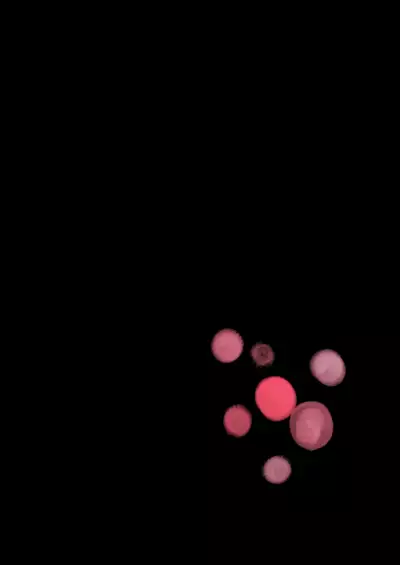 [Hizakozou] Sakyubasu ♂ to bukiyōna futari