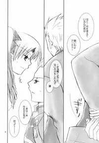 (C66) [Happy Water (Kizaki Yuuri)] Restraint. (Fate/stay night)