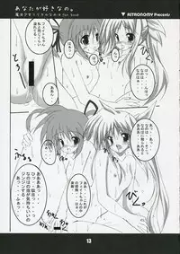(SC31) [ASTRONOMY (SeN)] Anata ga suki nano. (Mahou Shoujo Lyrical Nanoha)