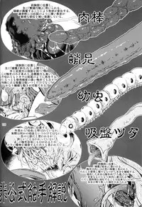 (C78) [Fakestar (Miharu)] FD (Various)