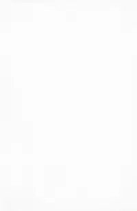 (C88) [Okina Flying Factory (OKINA)] ANALRINA