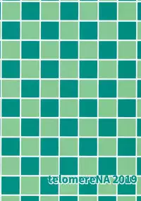 Mizugi no Shita no Yuuwaku Okawari