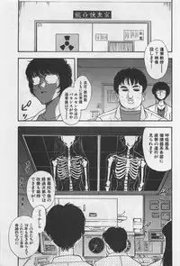 [Yamamoto Johanne] Yin & Yang Dolls