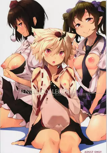 (Reitaisai 12) [Eclipse, Mochi-ya, Hannama (Rougetu, Karochii, Soine)] TENGU COLLECTION (Touhou Project) [Chinese] [十的我全都要汉化组]