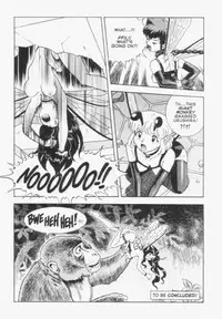 [Kondom] Bondage Fairies Extreme Issue 14 [English]