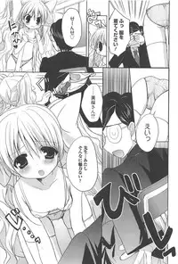 [Nekoyashiki Nekomaru] Sugar Spot