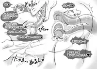 [pink-noise] Love☆Blade Shin Ryuu-hen (Queen's Blade)