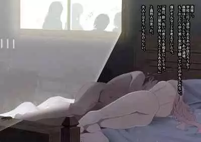 The work of the Insect Detective