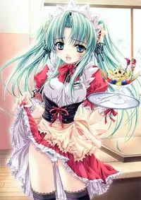 [Miyama Zero] MOEOH Selection Custom Maid Girl ~Miyama Zero Gashuu~