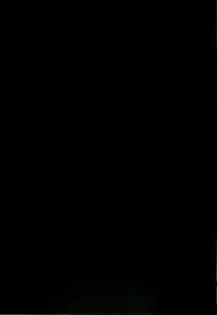 (ComiComi11) [Veronica no Ha (Noba)] Dead End no Kenshin Route (Sengoku Rance)