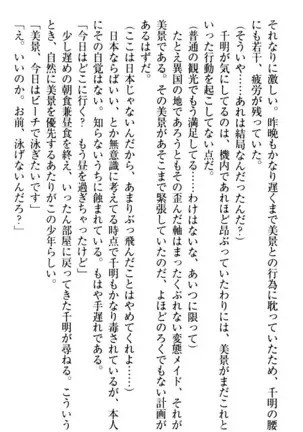 年上メイドの新婚日記