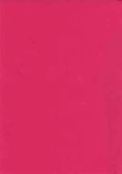 Shonen Knife | 少年的刀