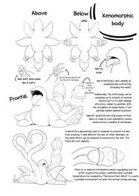 [Nekoarashi (Yana)] Igyo no Kimi to | A Tentacled Romance [English] [Metaphrastes] [Digital]