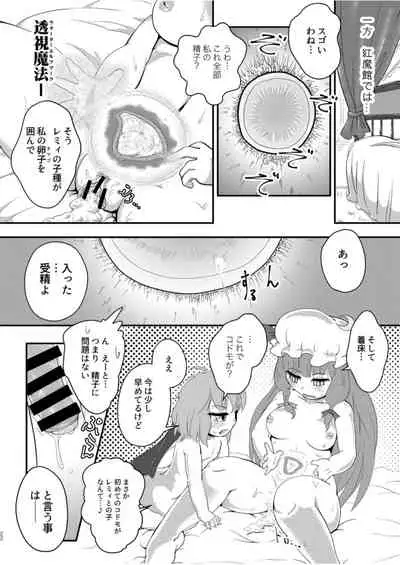 [Fringe Flange (Donmai-san)] Scarlet Conflict 3 (Touhou Project) [Digital]