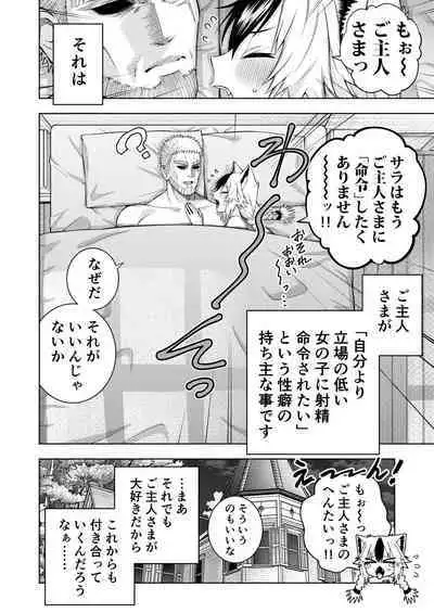 Goshujin-sama ni meirei shitaku arimasen