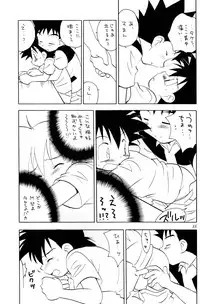 (C73) [Kurikomi (Adachi Himiko)] Beautiful Days (Pokémon)